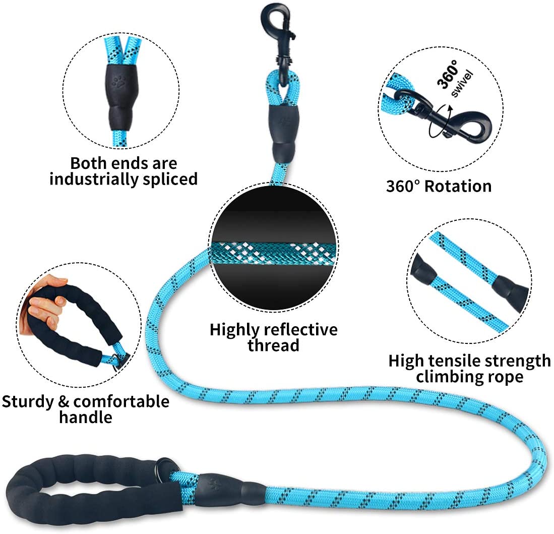 Dog's Luminous Leash