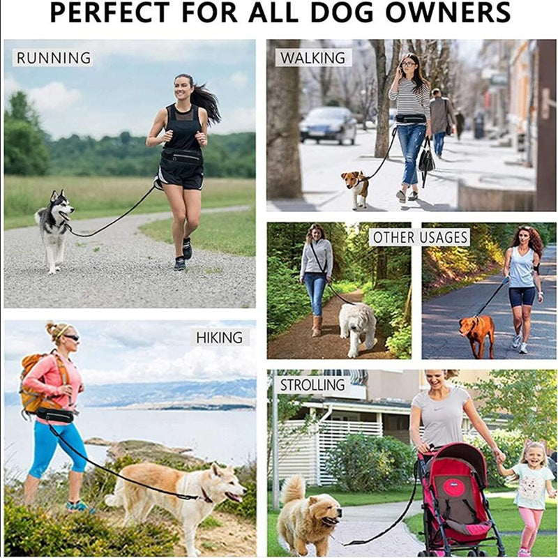 Dog's Leash For Walking And Running