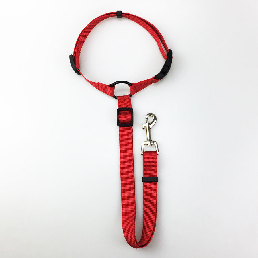 Dog' Safety Leash