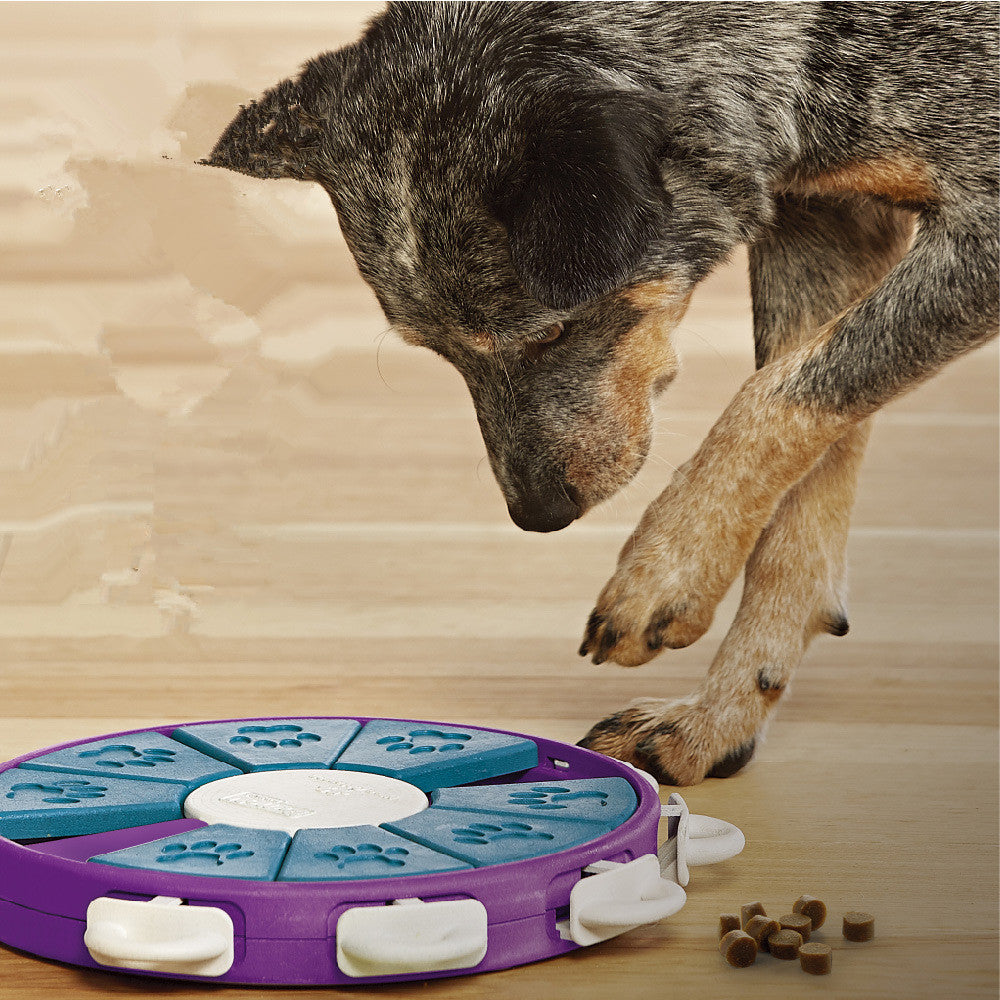 Twister Interactive Puzzle for Dog