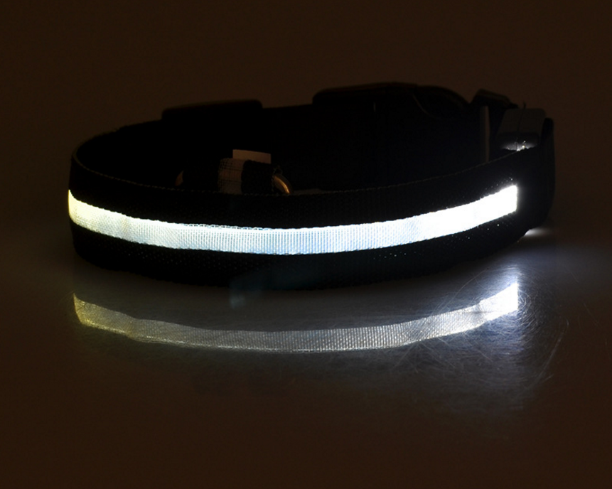 Dog's Lighted Collar