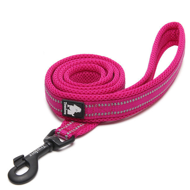 Truelove Padded Dog's Leash