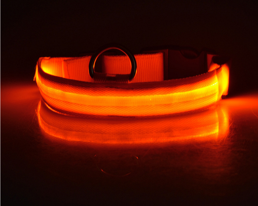 Dog's Lighted Collar