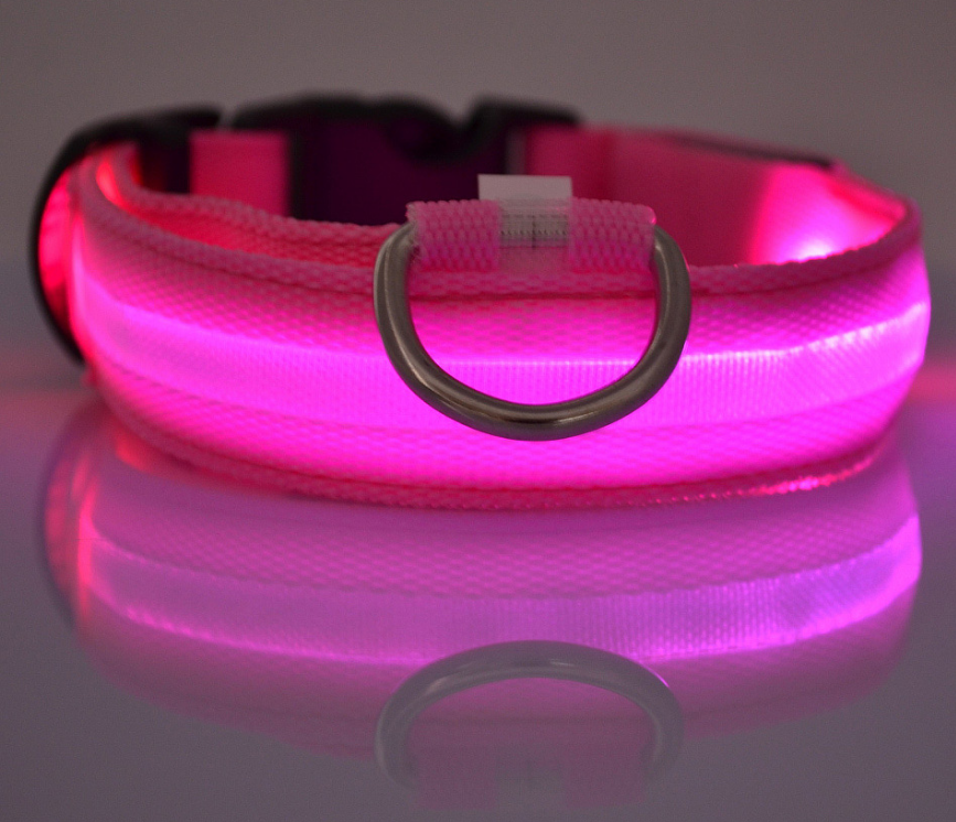 Dog's Lighted Collar