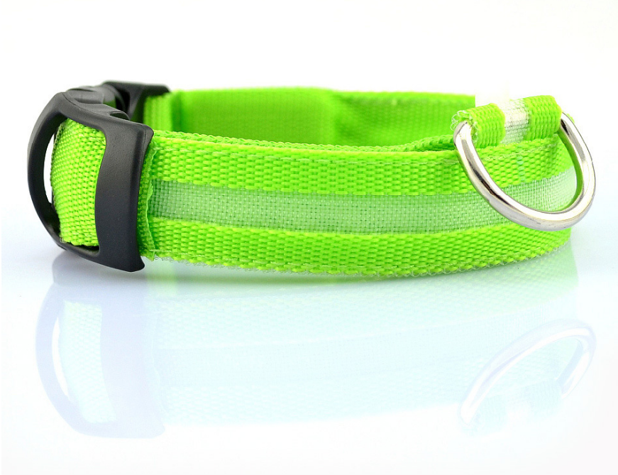 Dog's Lighted Collar