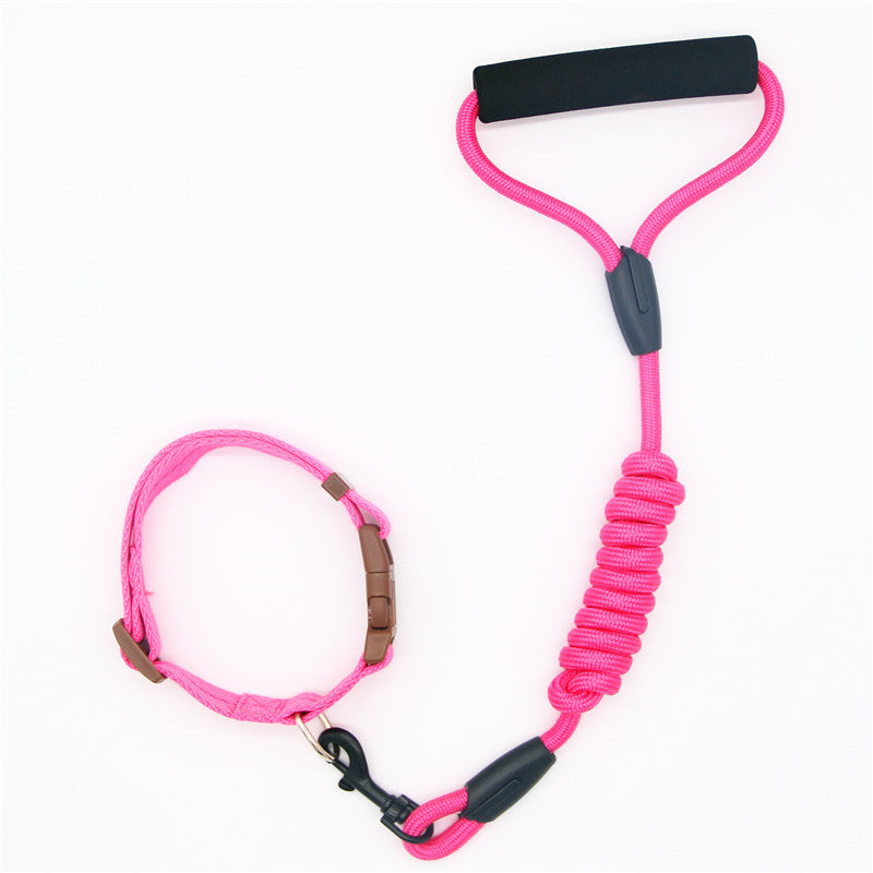 Dog's Leash - Collar Combo