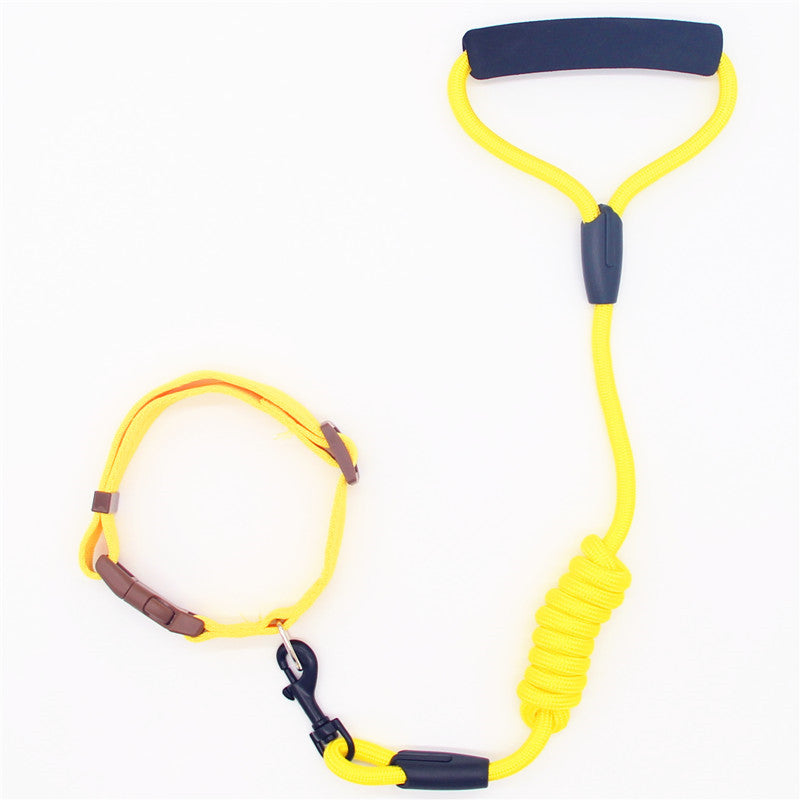 Dog's Leash - Collar Combo