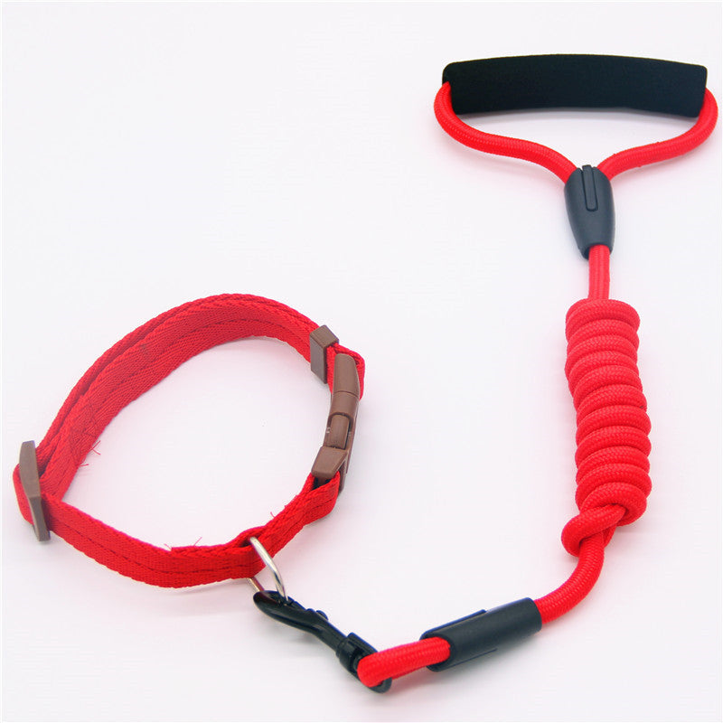 Dog's Leash - Collar Combo