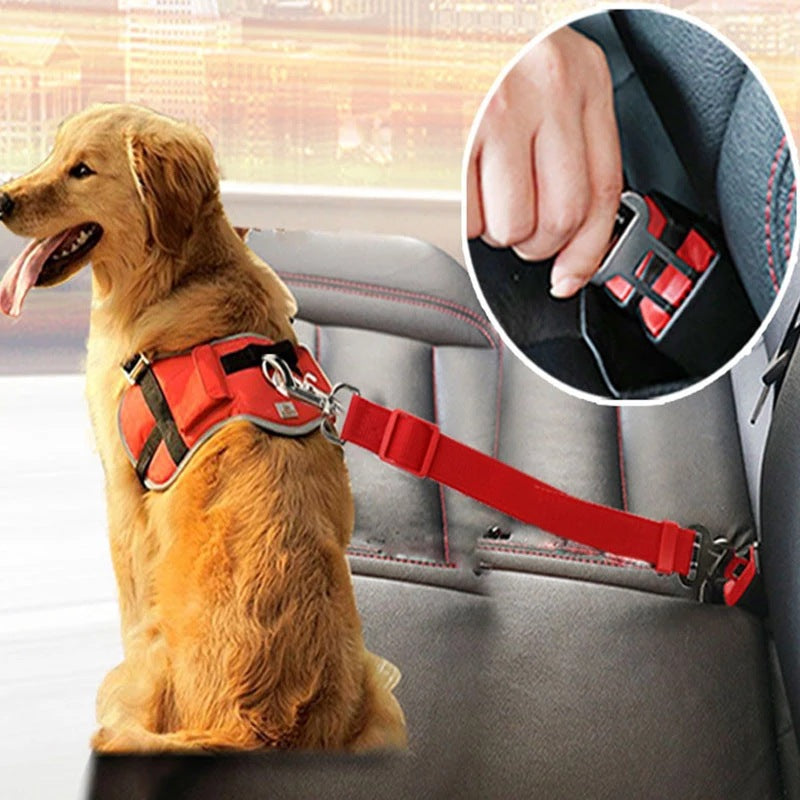 Dog's Car Seat Belt