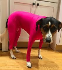 Medium / Large Dog Pajamas - Anti Licking - Ideally Wound Care/Post Surgery Dogs Pajamas, Lightweight Stretchy Fabric.