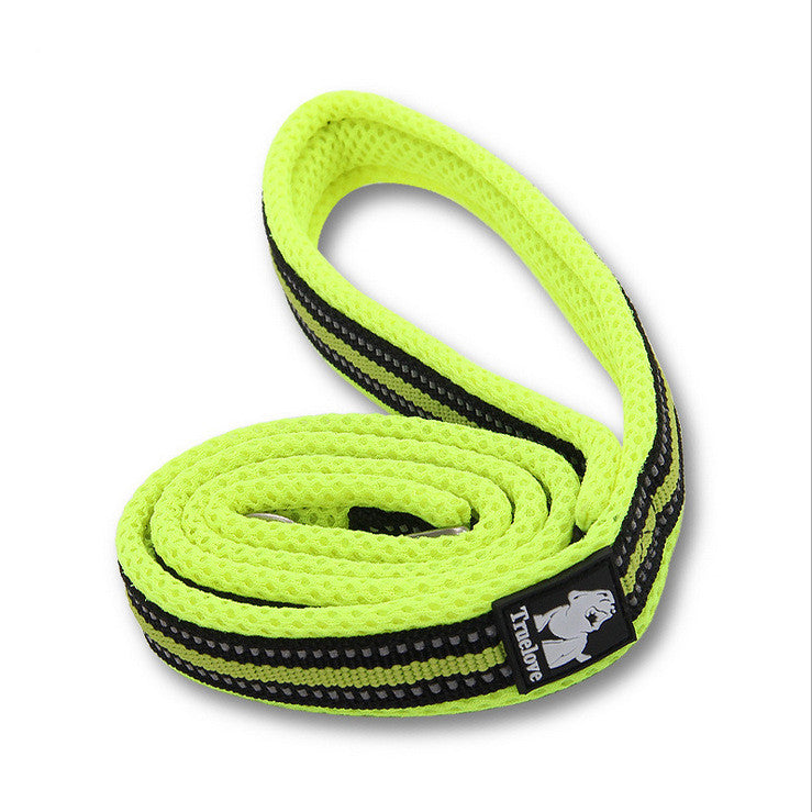 Truelove Padded Dog's Leash