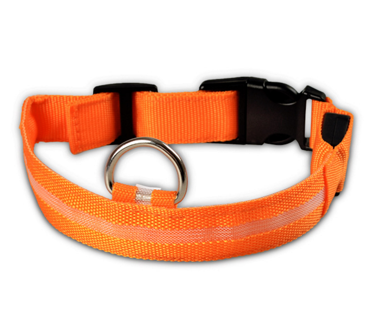 Dog's Lighted Collar