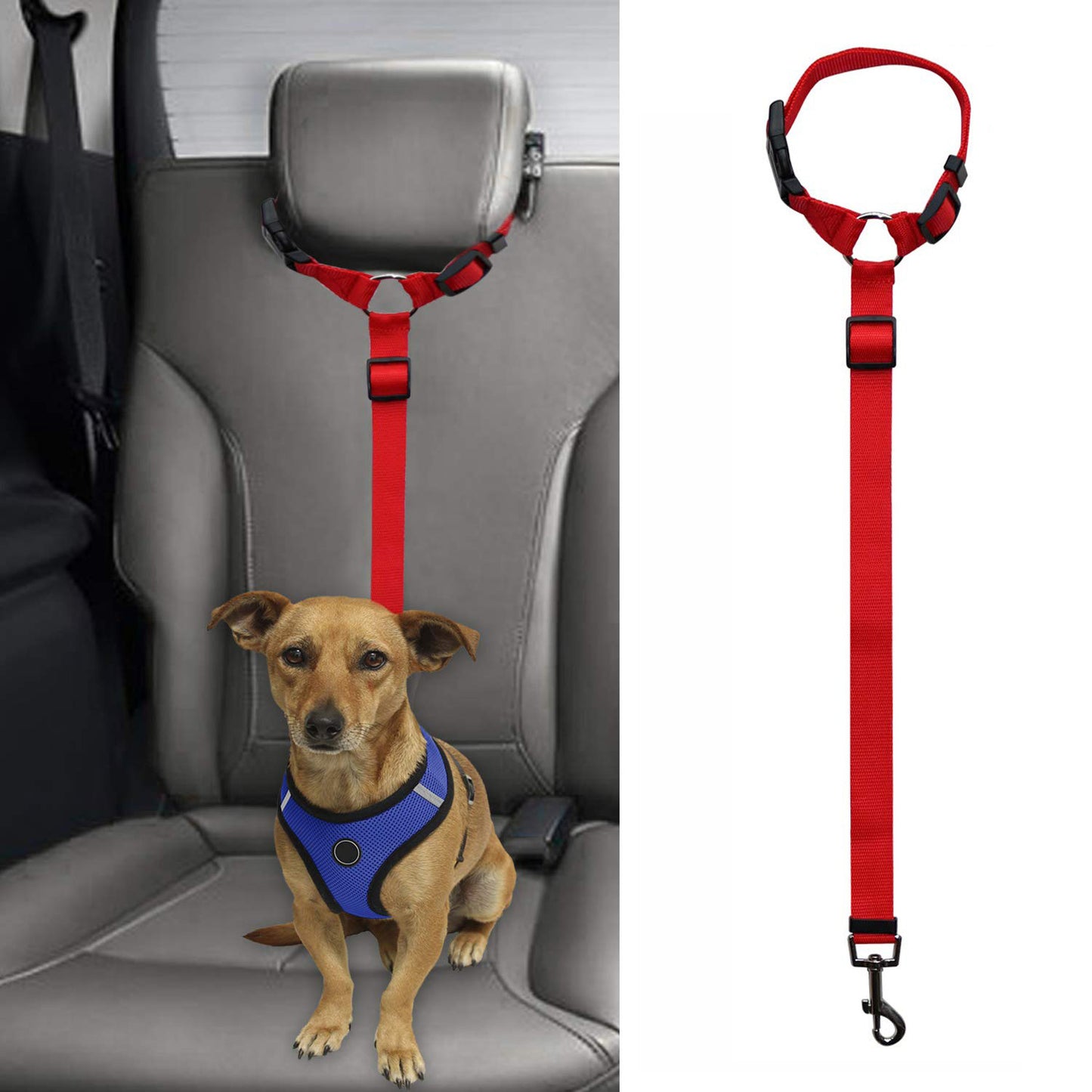 Dog' Safety Leash