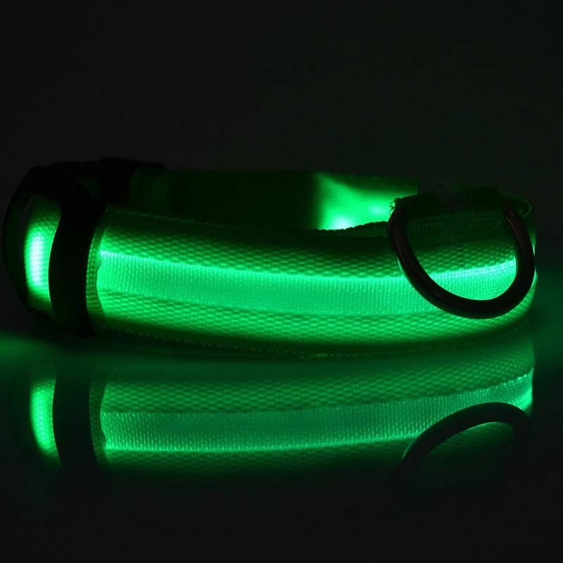 Dog's Lighted Collar