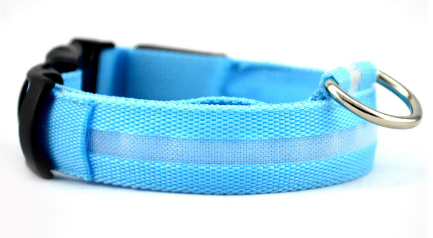 Dog's Lighted Collar