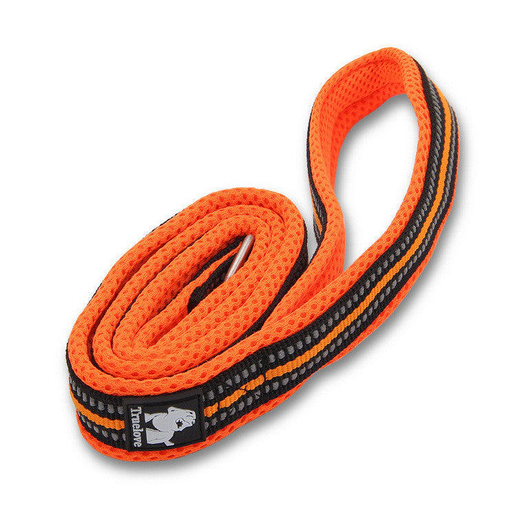 Truelove Padded Dog's Leash