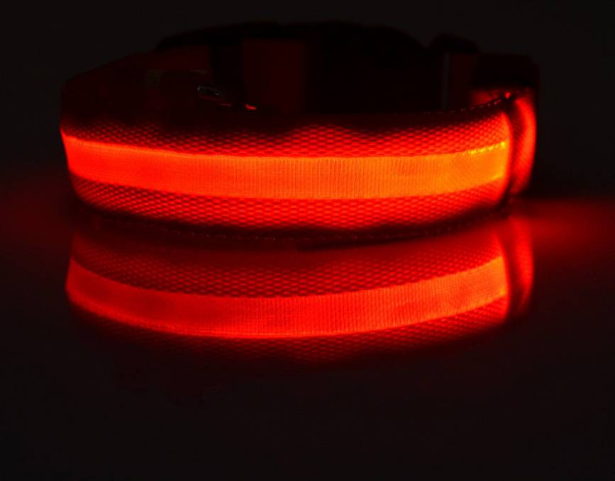 Dog's Lighted Collar