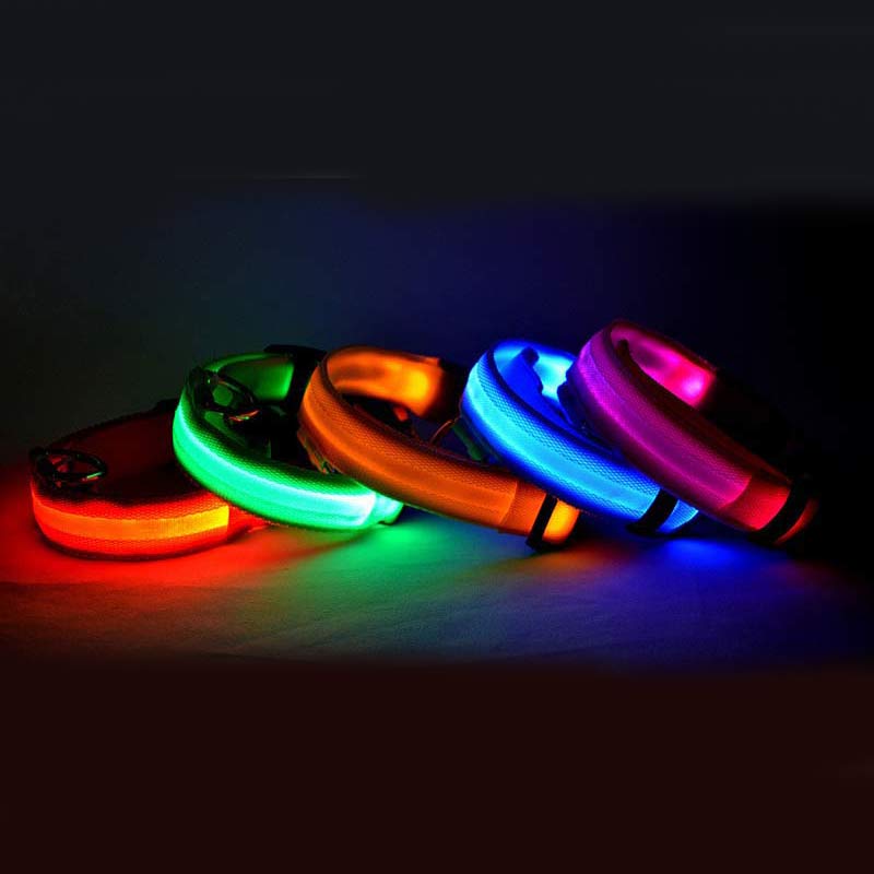 Dog's Lighted Collar