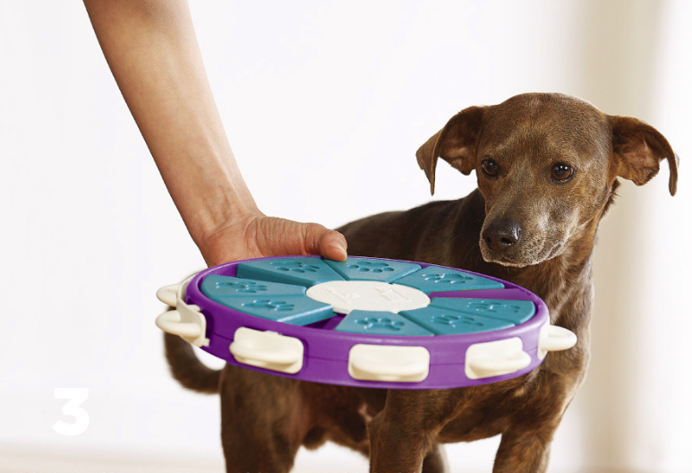 Twister Interactive Puzzle for Dog