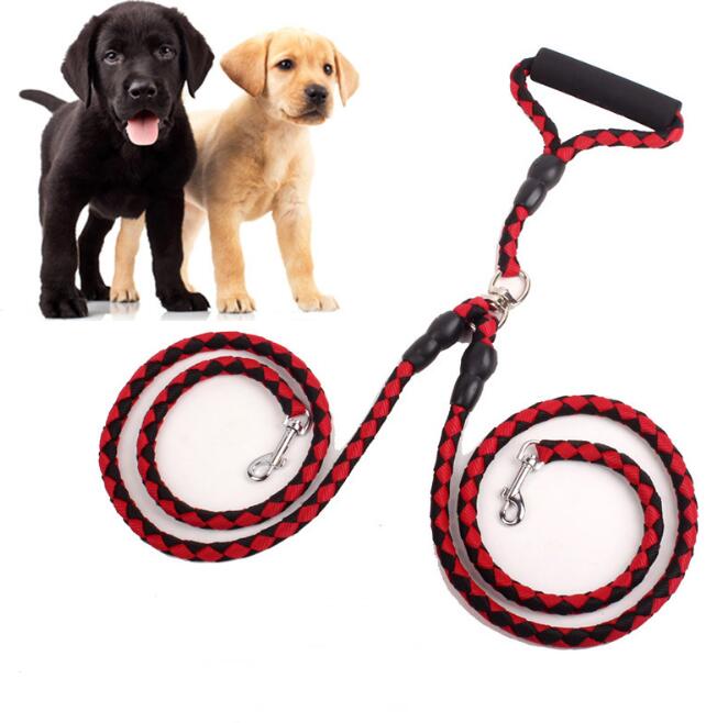 Double Dog Leash for Two Dogs