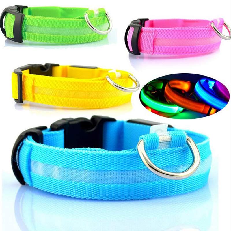 Dog's Lighted Collar