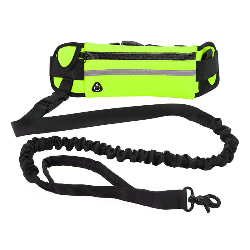 Dog's Leash For Walking And Running