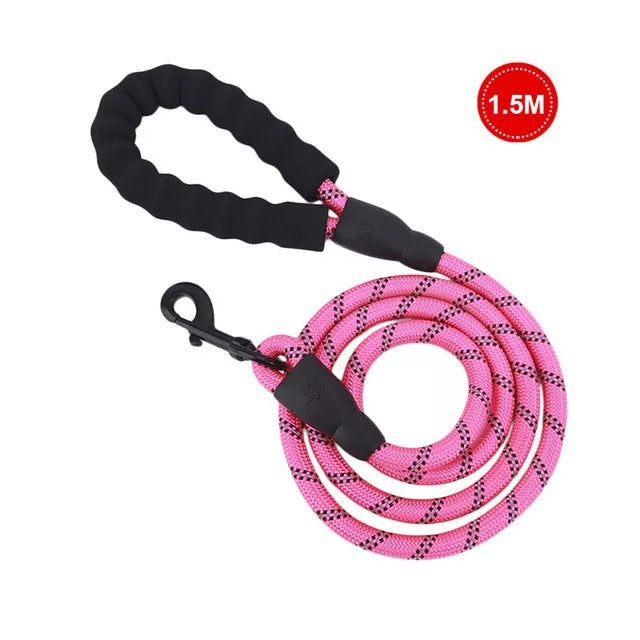 Dog's Luminous Leash