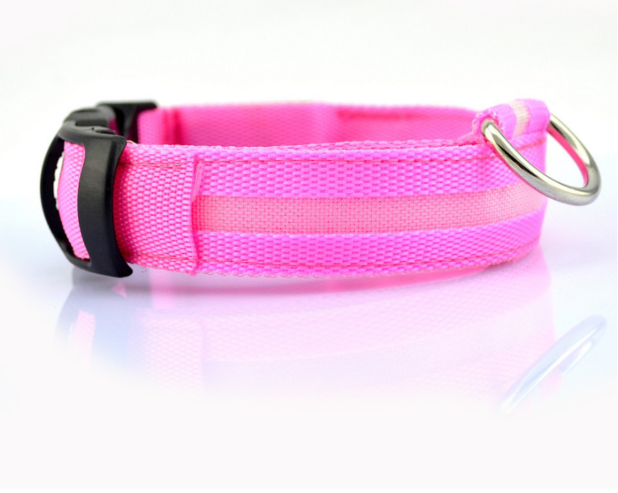 Dog's Lighted Collar