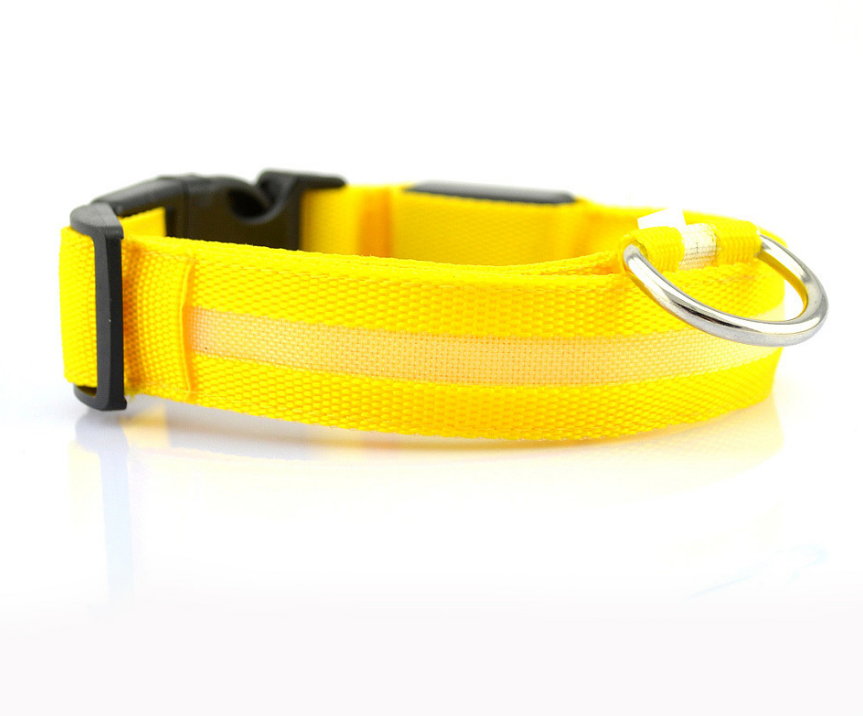 Dog's Lighted Collar