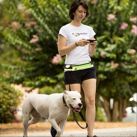 Dog's Leash For Walking And Running