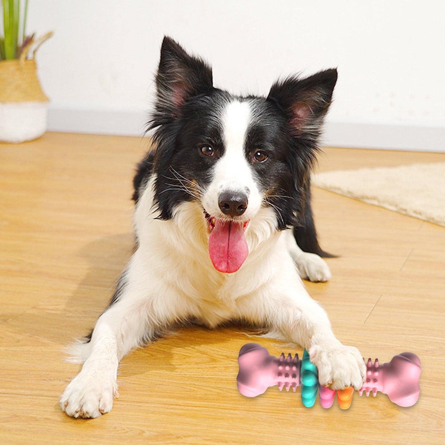 Hight Quality Chew Toy for Dogs