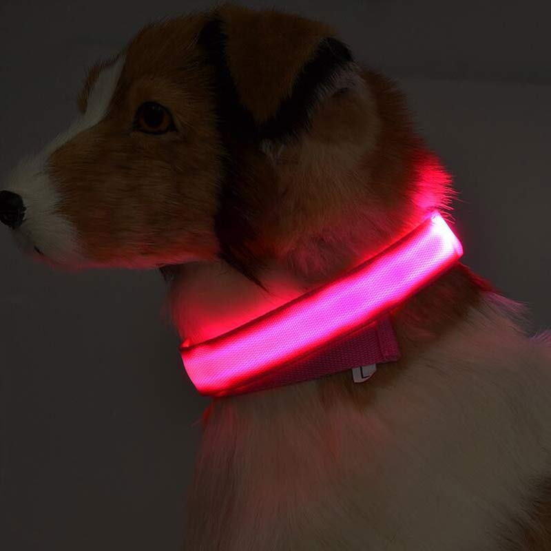 Dog's Lighted Collar