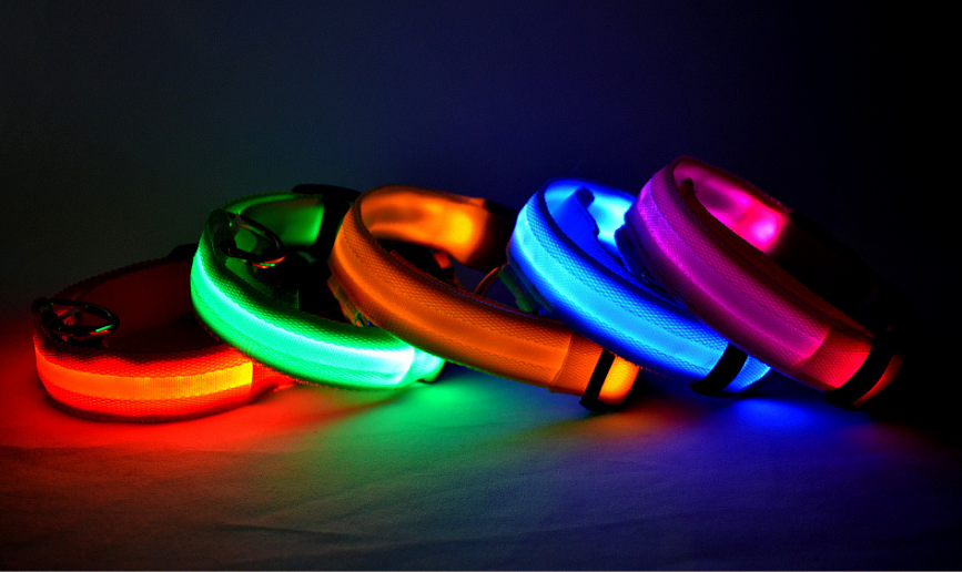 Dog's Lighted Collar