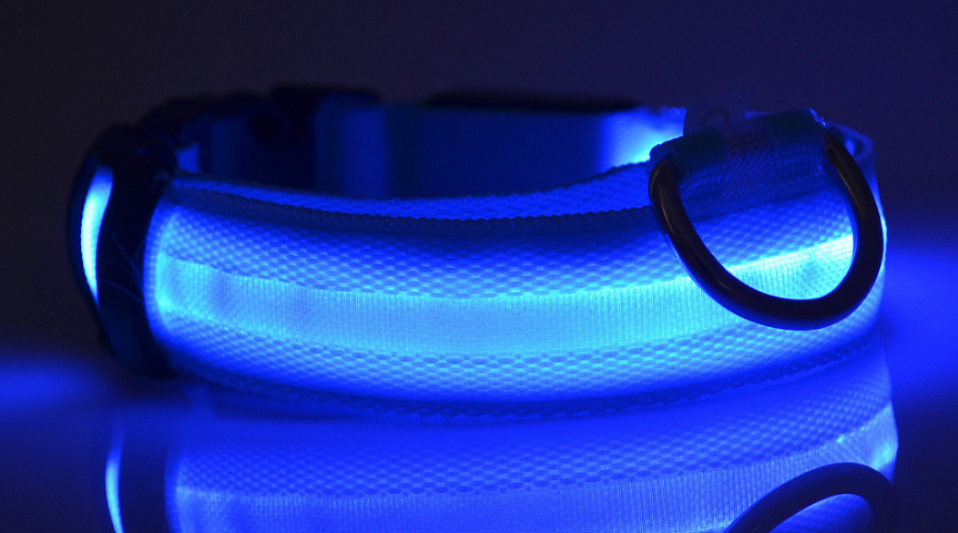 Dog's Lighted Collar