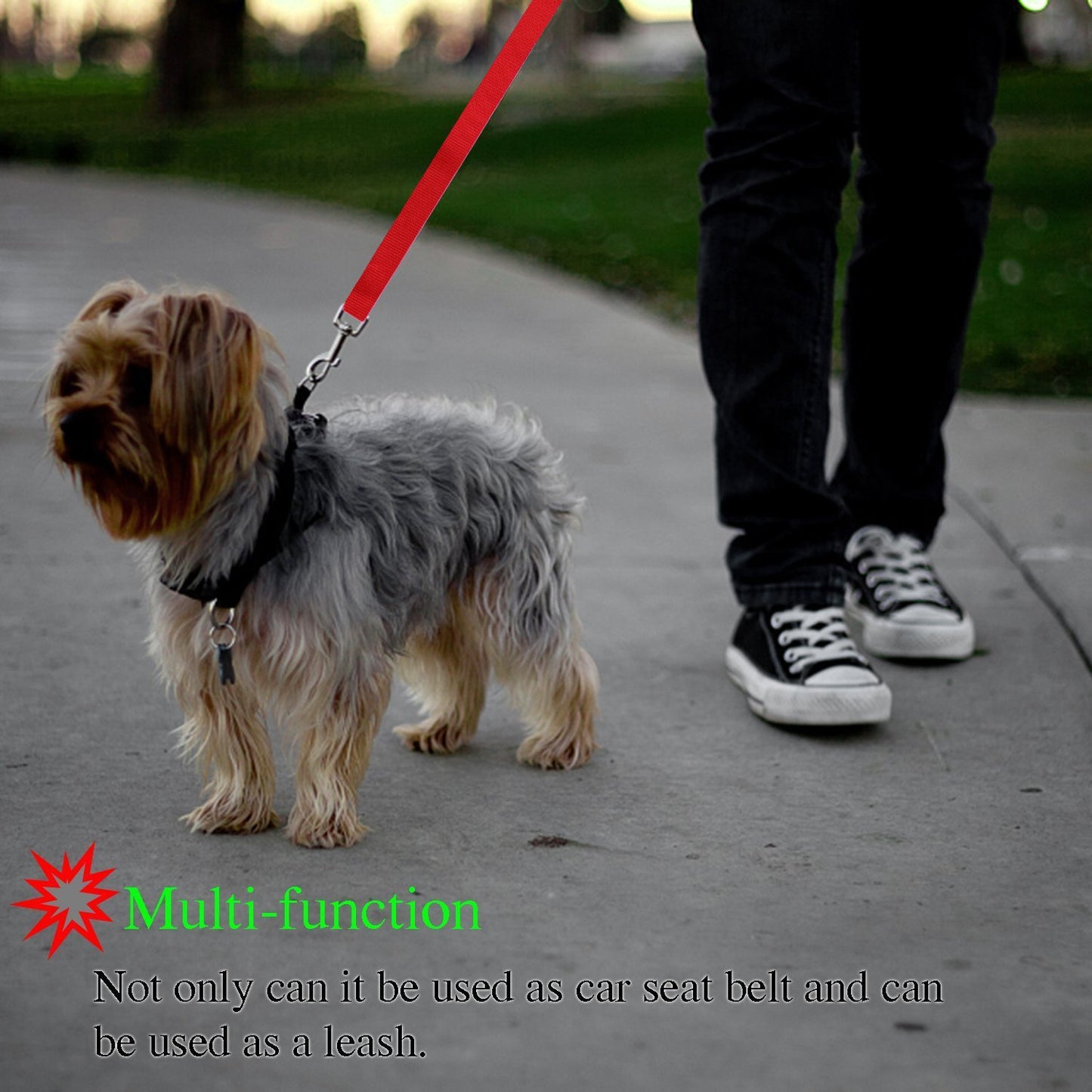 Dog' Safety Leash