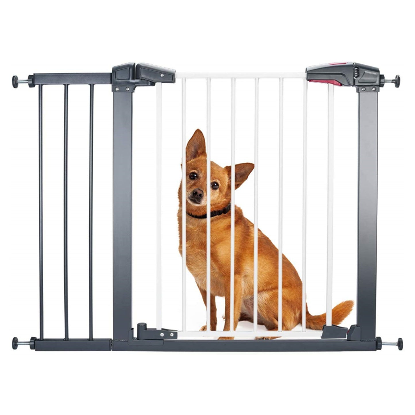 Sturdy Safe Gate For Dogs