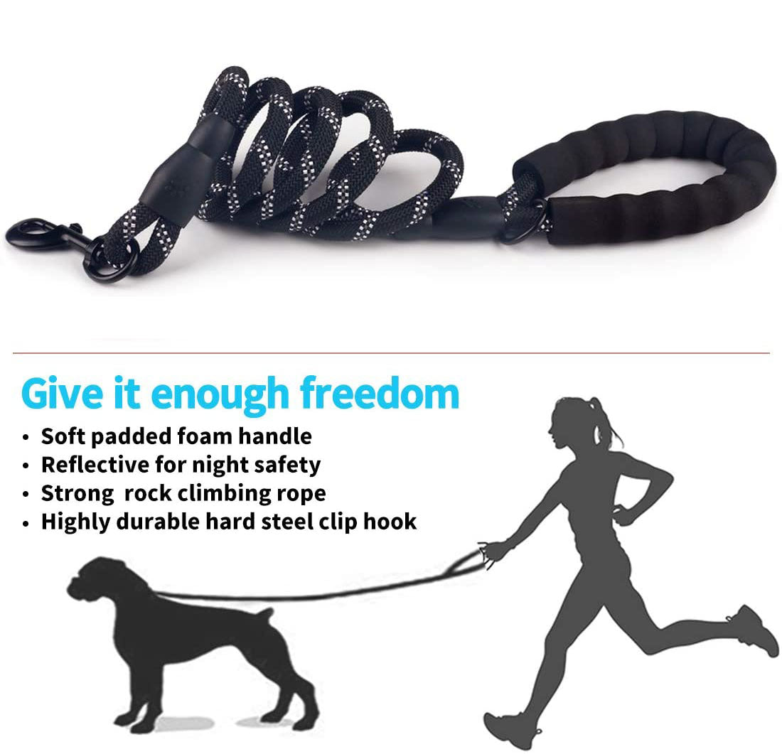 Dog's Luminous Leash