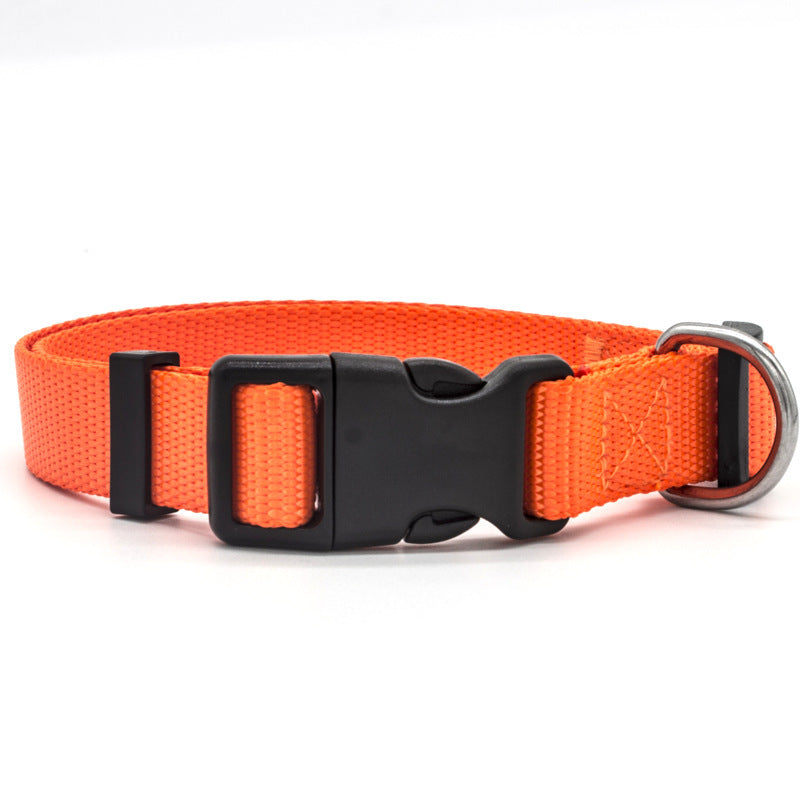 Dog's Nylon Collar