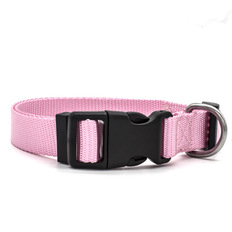 Dog's Nylon Collar