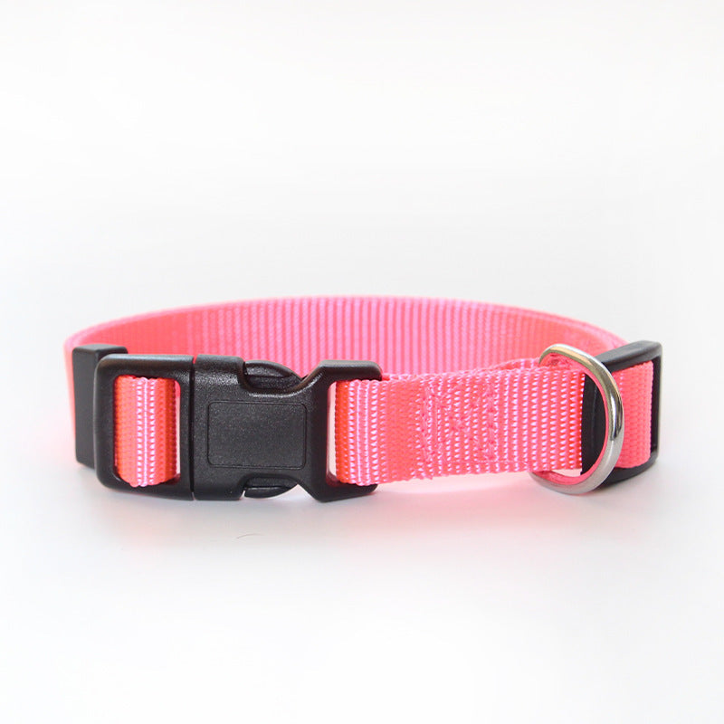 Dog's Nylon Collar