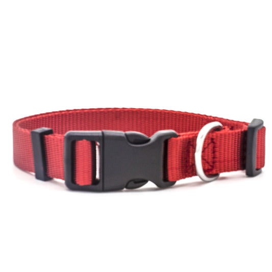 Dog's Nylon Collar