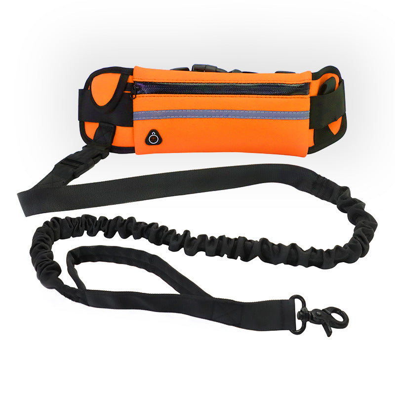 Dog's Leash For Walking And Running