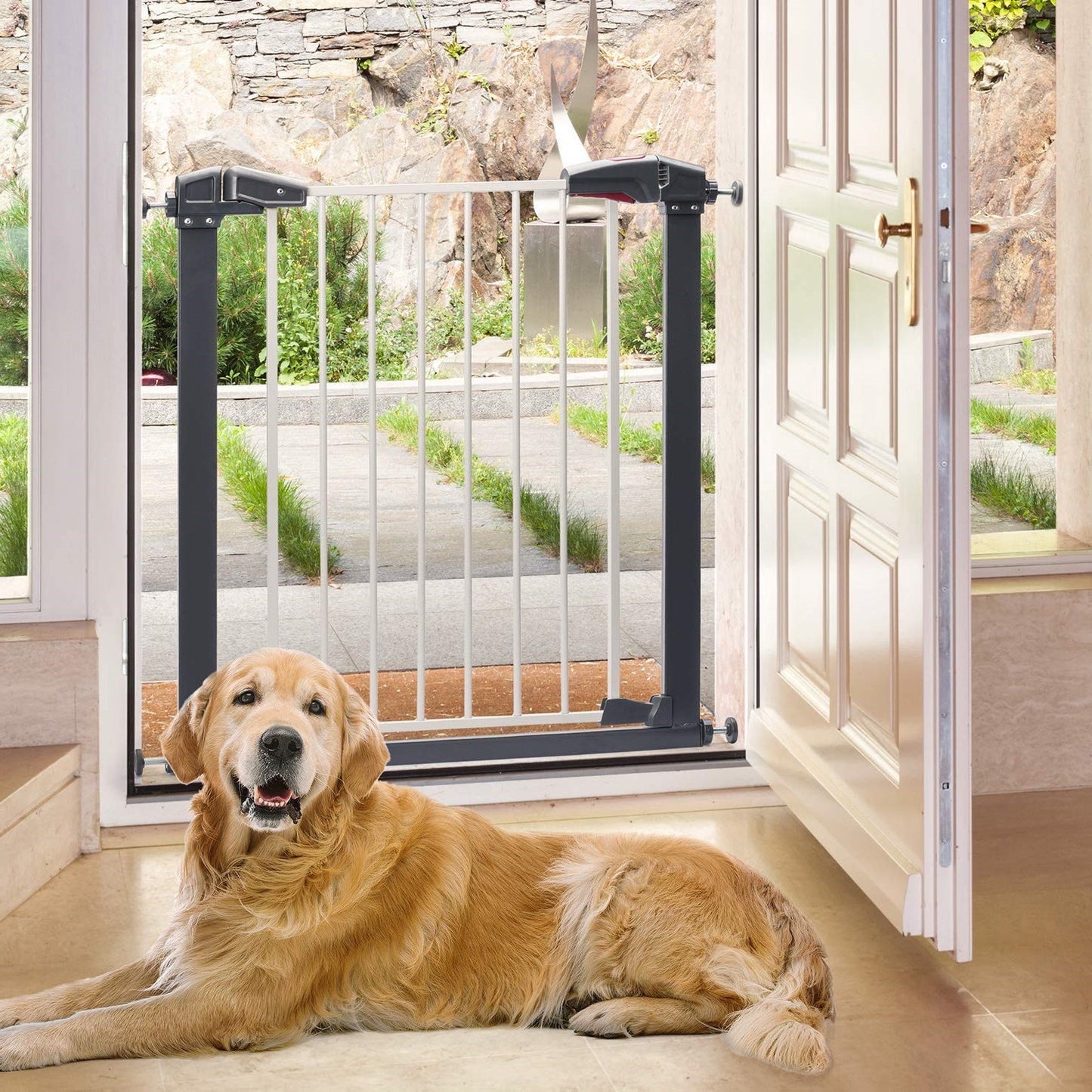 Sturdy Safe Gate For Dogs