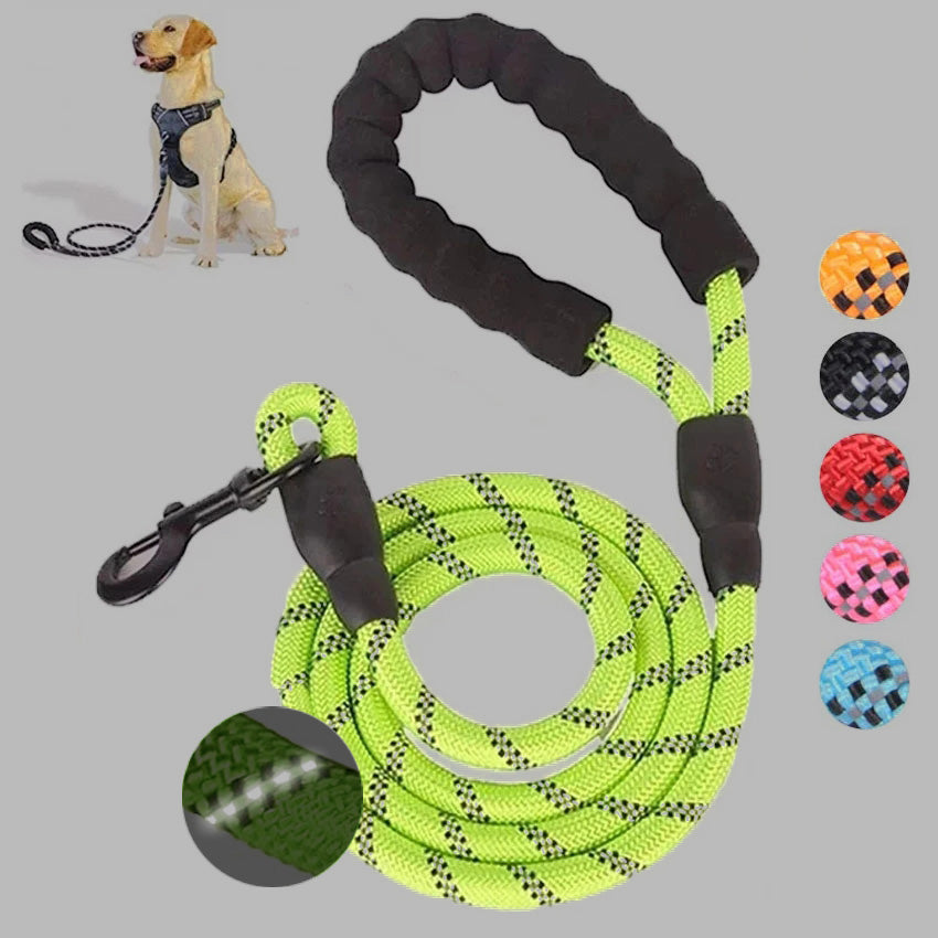 Dog's Luminous Leash