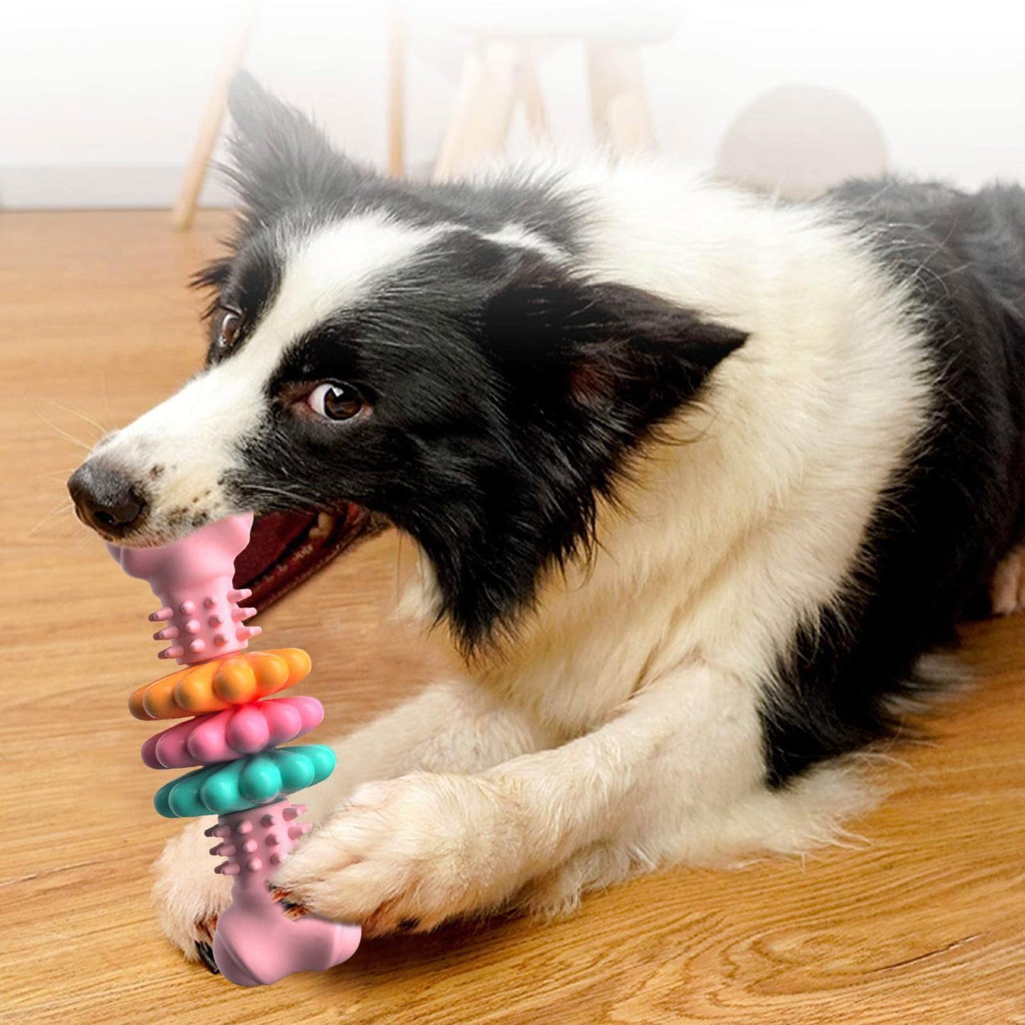 Hight Quality Chew Toy for Dogs