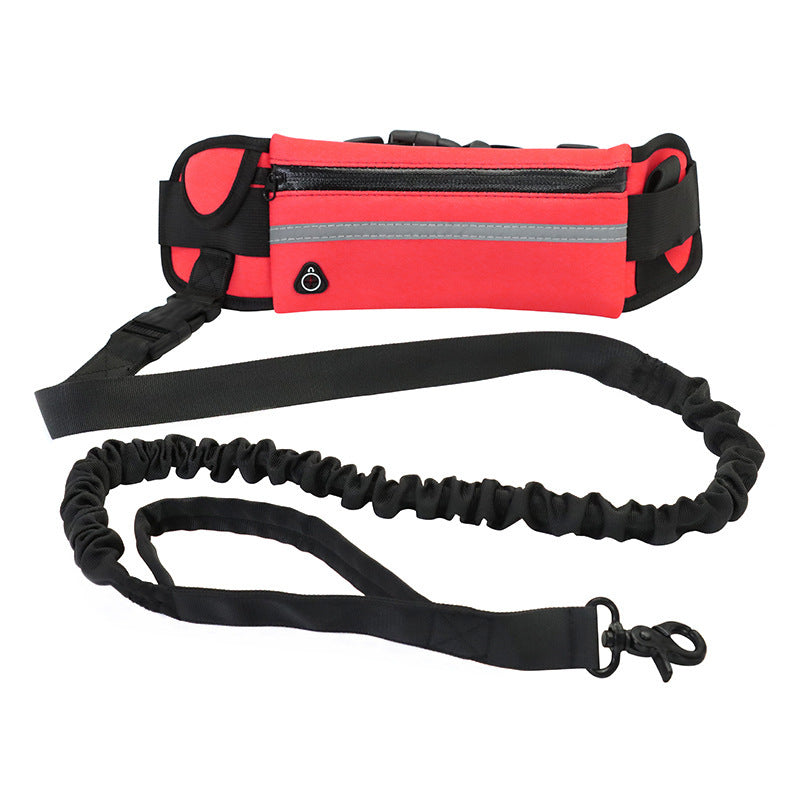 Dog's Leash For Walking And Running