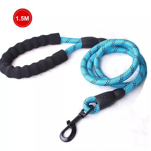 Dog's Luminous Leash