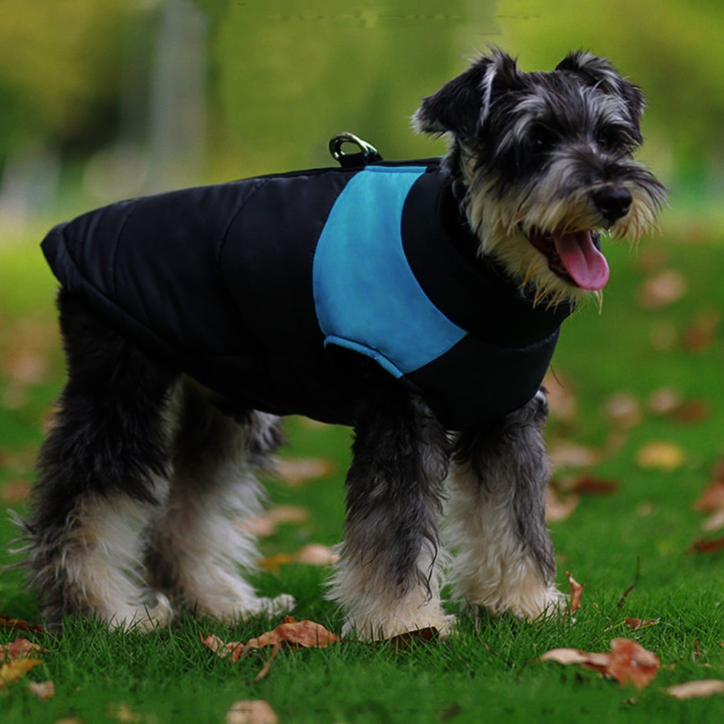 Winter Warm Dog Jacket